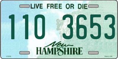 NH license plate 1103653