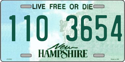 NH license plate 1103654