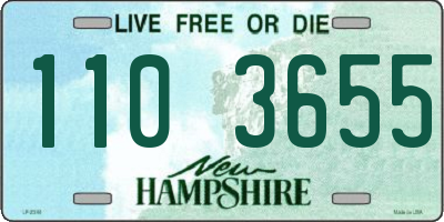 NH license plate 1103655