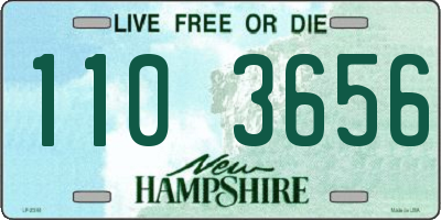 NH license plate 1103656