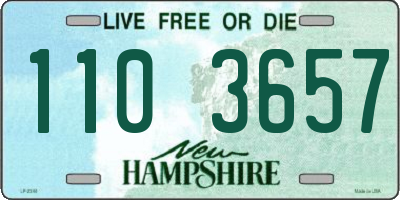 NH license plate 1103657