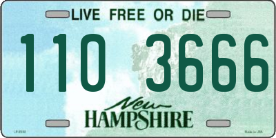 NH license plate 1103666