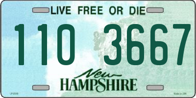 NH license plate 1103667