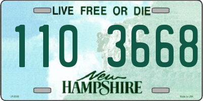 NH license plate 1103668