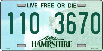 NH license plate 1103670