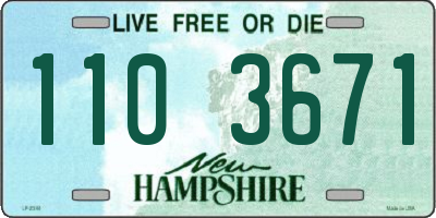 NH license plate 1103671