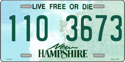NH license plate 1103673
