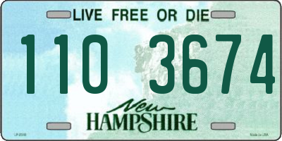 NH license plate 1103674