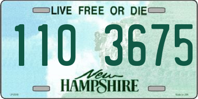 NH license plate 1103675