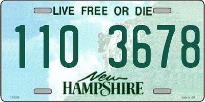 NH license plate 1103678