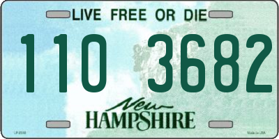 NH license plate 1103682