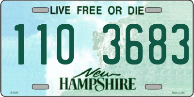 NH license plate 1103683