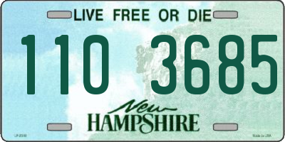 NH license plate 1103685