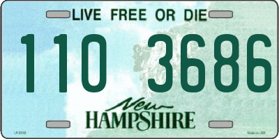 NH license plate 1103686