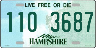 NH license plate 1103687
