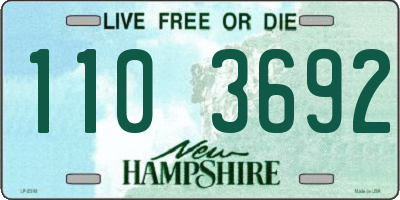 NH license plate 1103692