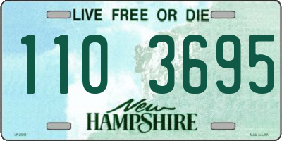NH license plate 1103695