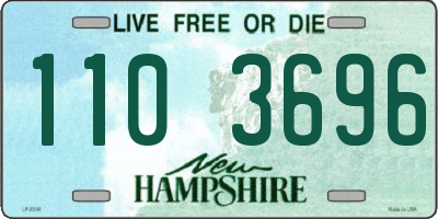 NH license plate 1103696