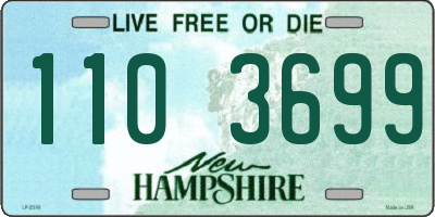 NH license plate 1103699