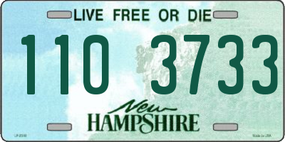 NH license plate 1103733
