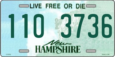 NH license plate 1103736