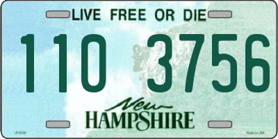 NH license plate 1103756