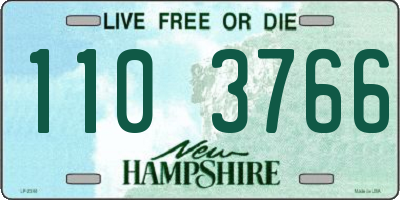 NH license plate 1103766