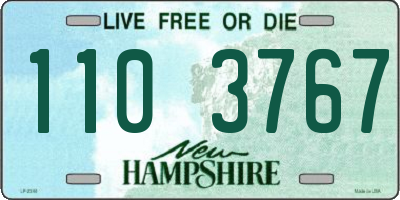 NH license plate 1103767