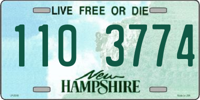 NH license plate 1103774