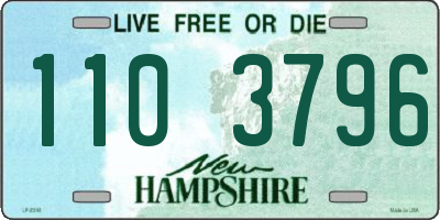 NH license plate 1103796