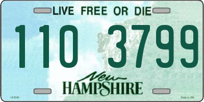 NH license plate 1103799