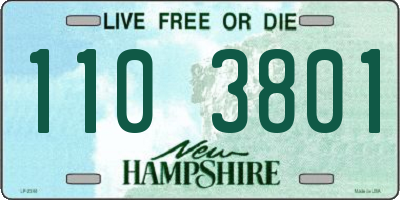 NH license plate 1103801