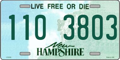 NH license plate 1103803