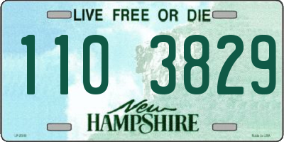 NH license plate 1103829