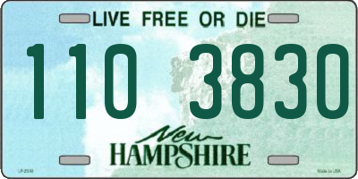 NH license plate 1103830