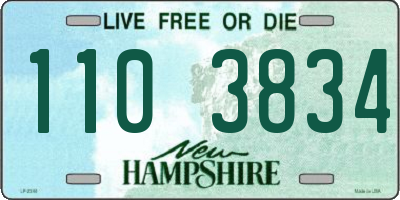 NH license plate 1103834