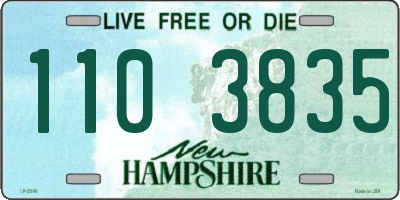 NH license plate 1103835