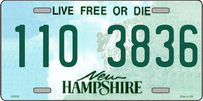 NH license plate 1103836