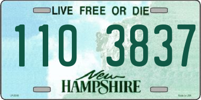 NH license plate 1103837