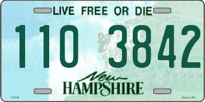 NH license plate 1103842