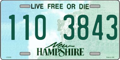 NH license plate 1103843