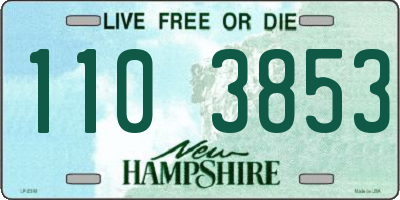 NH license plate 1103853