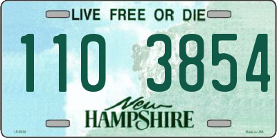 NH license plate 1103854