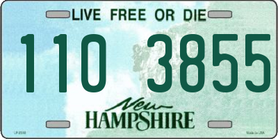 NH license plate 1103855