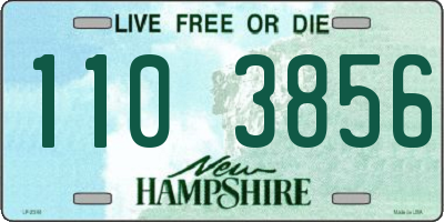 NH license plate 1103856