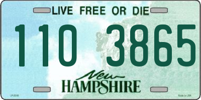 NH license plate 1103865
