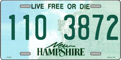 NH license plate 1103872