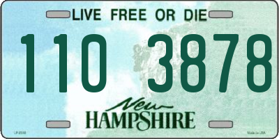 NH license plate 1103878