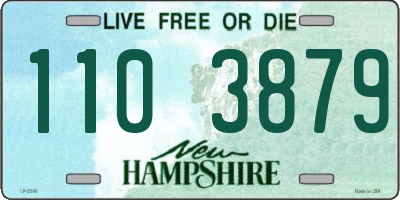 NH license plate 1103879