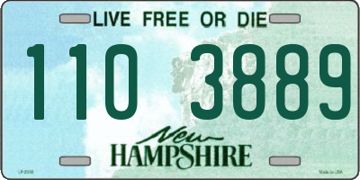 NH license plate 1103889